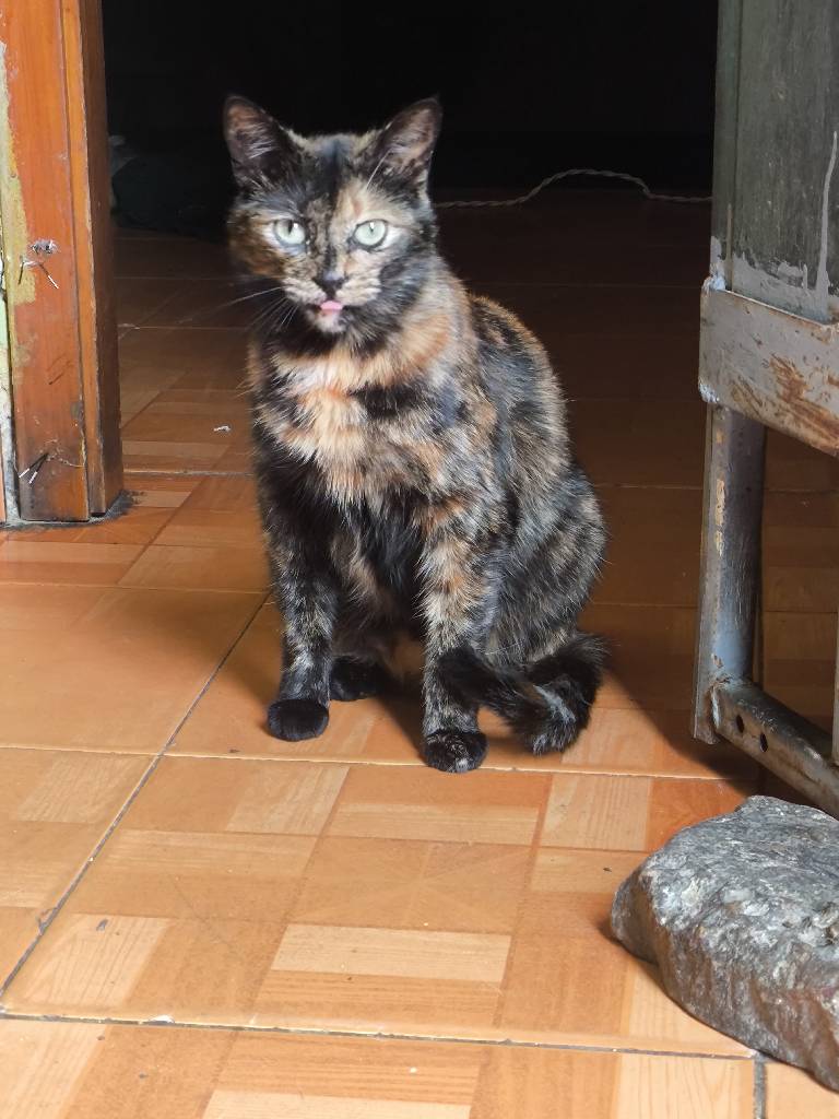 03C  Franelilla   10 editada imagen 4