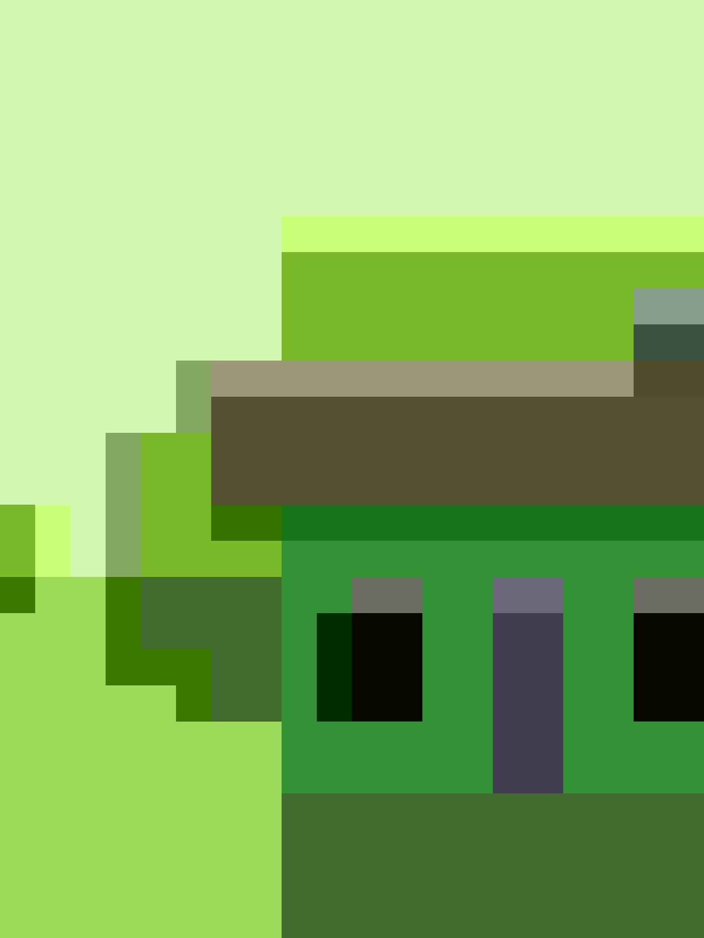 03C  Franelilla   12 imagen 2